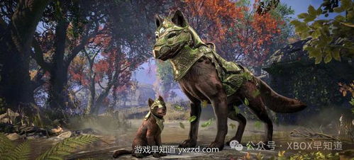 《上古卷轴OL》黄金大道预购开启，升级仅需199元，独家福利大放送！