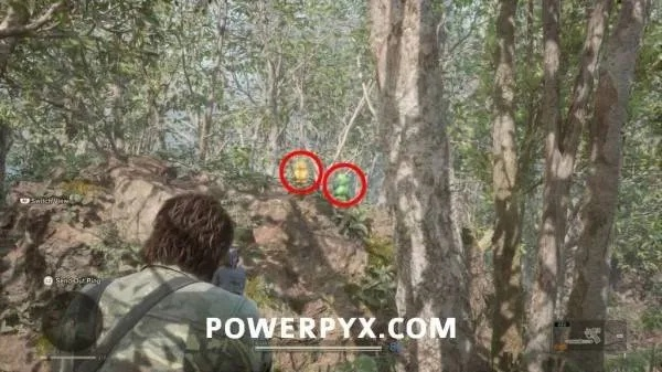 《合金装备3重制版》全科罗蛙高效收集指南，解锁隐藏蛙点攻略！