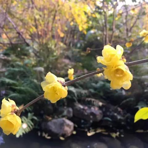 《消逝的光芒2》冬日传说活动大升级！1月5日新内容震撼追加，探索未知秘境！