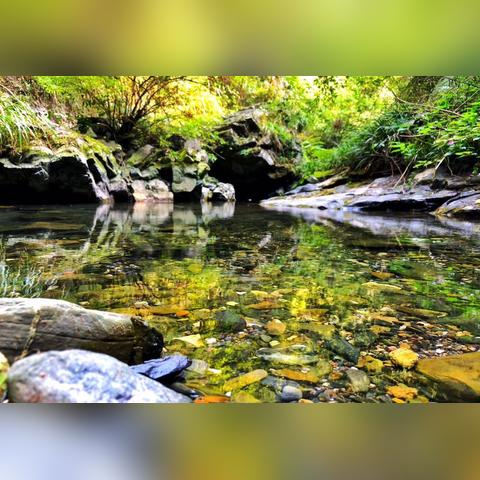 《流放之路2》S3风暴编织者攻略：三元素构筑秘籍大揭秘