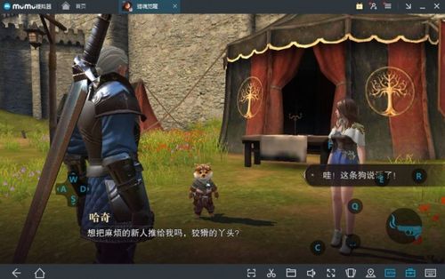 《荒野黑蚀龙盾斧9星配装攻略：狩猎巅峰必备》