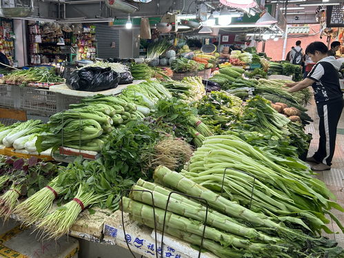 菜市场模拟器装饰品价格揭秘：性价比之选大公开