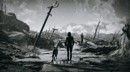 《辐射4》画面争议：揭秘真实画面与宣传差距