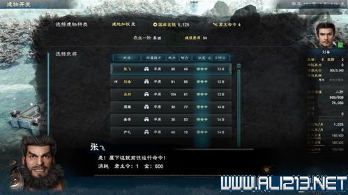 《三国群英传8》山海秘境探险攻略，解锁神秘宝藏点