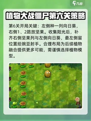 《植物大战僵尸重植版》全攻略：高效通关秘诀大揭秘！