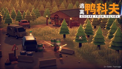 《逃离鸭科夫》忍者暗杀流攻略：独家秘籍，轻松制胜！