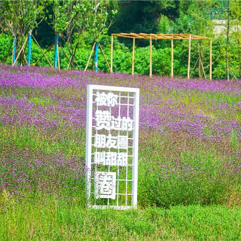 《梦幻西游》玩家必看！揭秘热门用语背后的绝密攻略