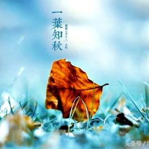 《和谐：梦想之秋》NS/PC同步首发，跨平台体验6月22日开启，抢先体验秋日幻想之旅