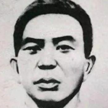 《王之凝视》轮椅流派攻略：深度解析，新手必看秘籍