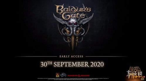 《博德之门3》九号更新新职业圣骑士降临，重塑奇幻冒险新篇章