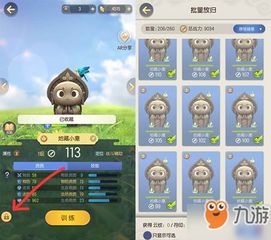 破败佛源镇先神之言快速获取攻略，揭秘高效收集方法