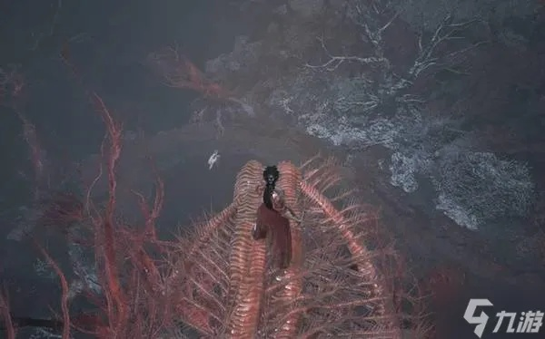 《明末渊虚之羽》赤羽红岚回响秘籍：轻松解锁独特获取途径