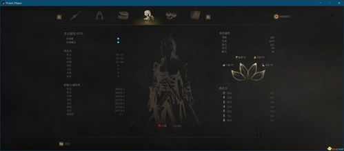 《明末渊虚之羽》独家攻略：轻松获取生飞羽循空，掌握神秘获取途径