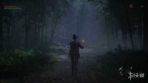 《明末渊虚之羽》全法术揭秘：效果一览与独特获取攻略！