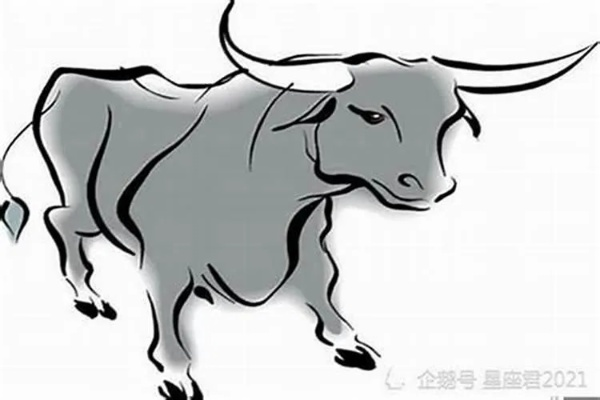 牛生肖逃课攻略揭秘：执令灵相高效打法技巧分享