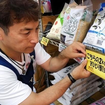 《贪婪大地》新手攻略：快速上手必备技巧揭秘