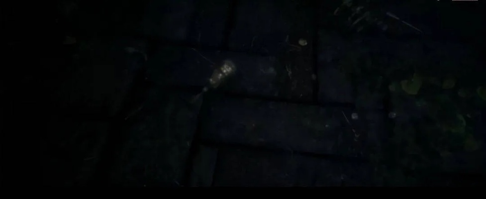 《上古卷轴》团队倾力打造，《无常幻境》新预告片揭秘：沉浸式奇幻世界即将开启！