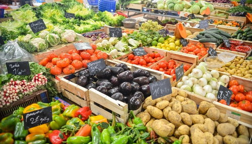 《菜市场模拟器》新手攻略：快速学会选购与店铺开业技巧