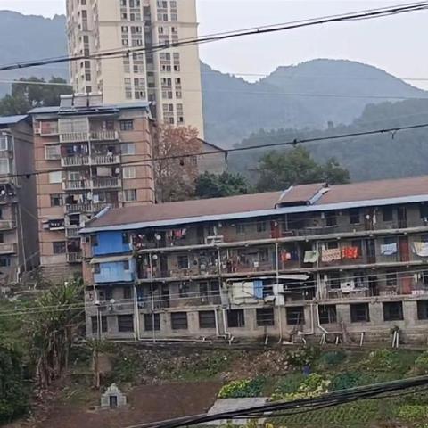 《密林传奇》发售在即！卡通横板多人动作新体验，畅玩不止！