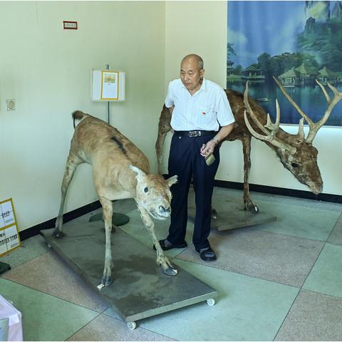 无序深渊版本独家揭秘，幻塔委托选择新价值体验