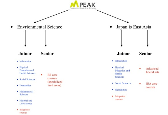PEAK新手必看！掌握这些技巧轻松登顶巅峰