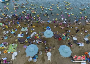 《匹诺曹》探秘：揭秘海边悬崖神秘古老圆盘藏匿地