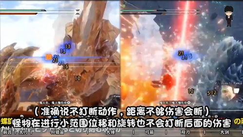 曙光连击毒双刀核心配装攻略，解锁怪物猎人崛起新境界