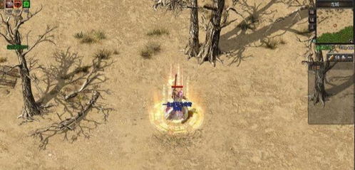 《剑星》独享秘籍：轻松获取芍药独酌装，解锁独特风采