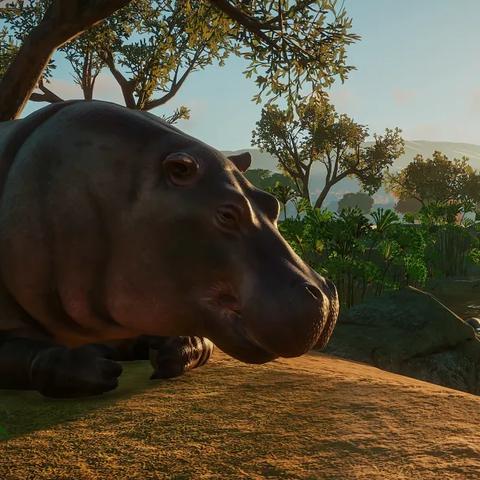 《战地2042》发布引爆怀旧狂潮，官方紧急扩容服务器，体验升级！