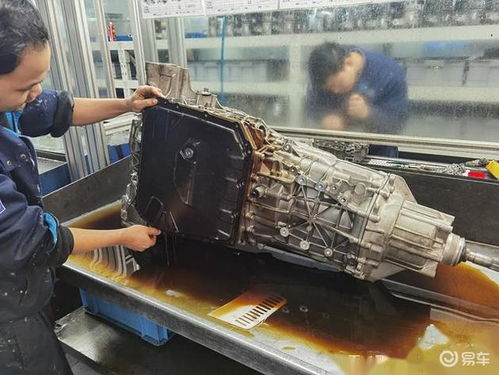 《鸣潮》2.4版本星声大揭秘：升级后能拿多少？