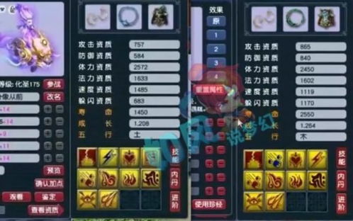 《绝区零》仪玄培养攻略：命座加点与最佳配队推荐