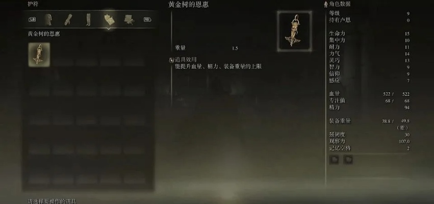 《艾尔登法环》全遗物解锁技巧：遗物颜色栏位获取攻略