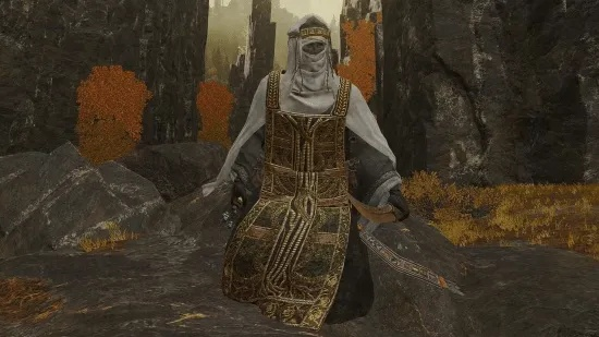 《艾尔登法环》角色皮肤大揭秘：黑夜君临风采全览