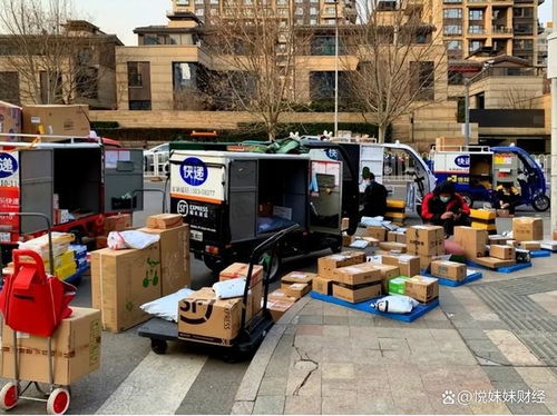 《快递新纪元》可靠体验，模拟配送乐趣无限