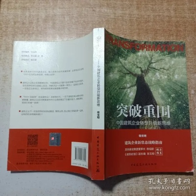 《突破重围》深度解析：揭秘游戏魅力，体验刺激冒险！