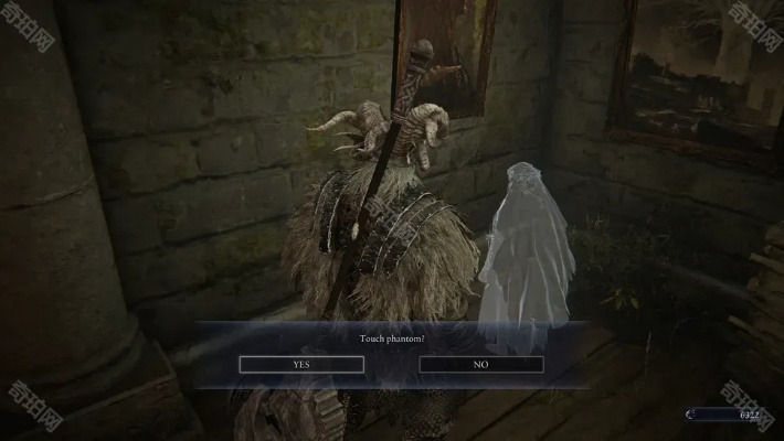 《艾尔登法环》复仇者角色解锁攻略：揭秘黑夜君临复仇者解锁技巧