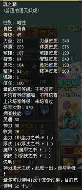 《幻想生活》独家攻略：转圈龙与时间盗贼职业加点+装备秘籍大揭秘