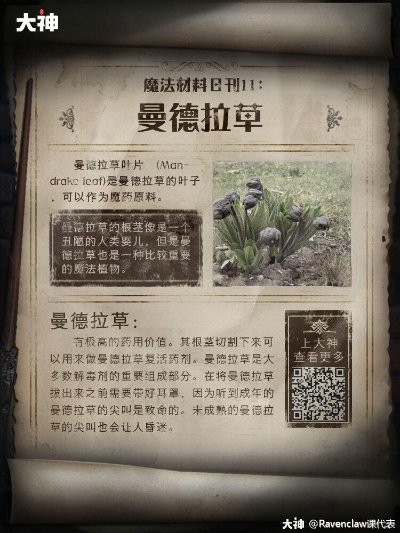 《幻想生活i》独门秘籍：轻松获取巨大曼德拉草攻略！