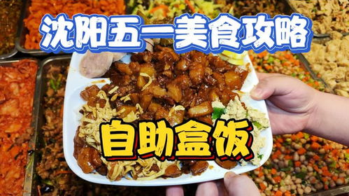 《幻想生活i》独家秘籍：轻松学会烤鸡肉串！