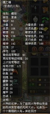 怪鸟宝藏攻略：轻松掌握《幻想生活i》独门秘籍