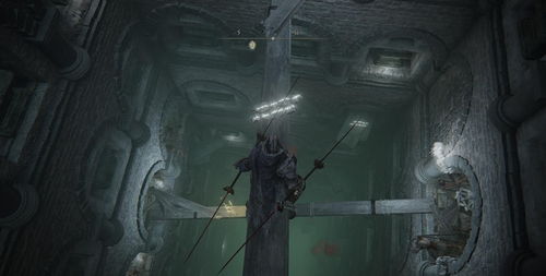 《艾尔登法环》隐士职业深度解析：揭秘黑夜君临的神秘力量