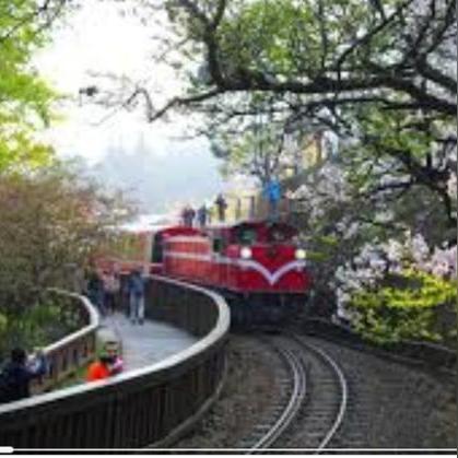 《崩坏星穹铁道》风堇高效培养指南：揭秘风堇最佳培养策略