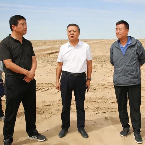 灾后重建攻略：新手必看《灾后修复师》高效玩法揭秘