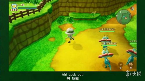 《幻想生活》全职业速升攻略：揭秘龙与时间少女高效升级技巧