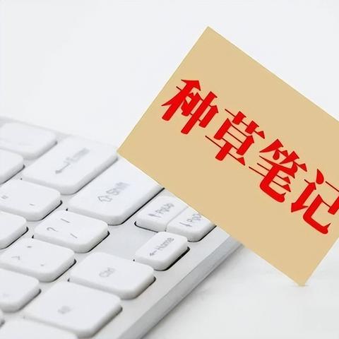 “特别好评”厂商遭V社封禁，揭秘游戏行业新规则与避坑指南