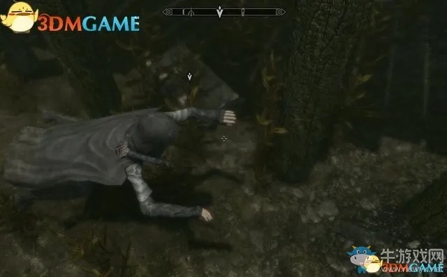 《上古卷轴4重制版》攻略：揭秘收集者支线任务高效完成技巧