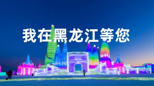 燃情雪博新春冰雪盛宴，冬奥梦想启航CERC规则制胜