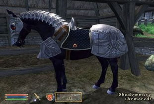 《上古卷轴4》马匹护甲支线攻略：快速升级马甲技巧揭秘