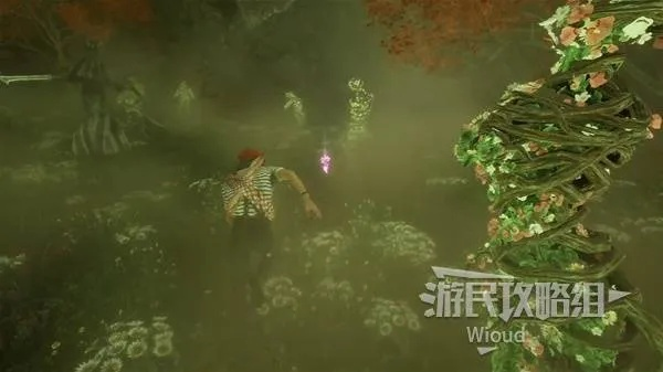 迷失林全攻略揭秘：《光与影33号远征队》高效收集秘籍大公开