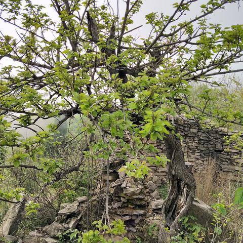 绝地求生探蛋家新攻略，揭秘本月热门玩法技巧